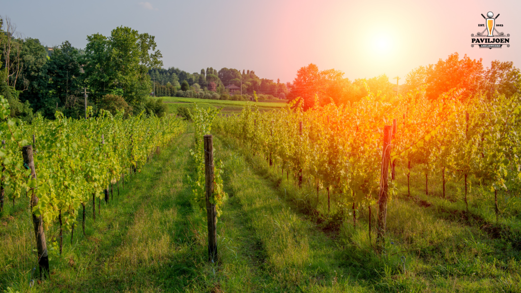 Wijnproeverij Duitsland in Utrecht Amelisweerd